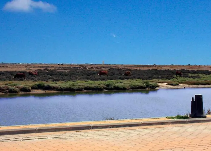 Appartement Marina 2 Atico De Lujo Vistas Al Mar Piscina *