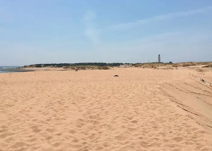 Marina 2 Atico De Lujo Vistas Al Mar Piscina アパート コニル・デ・ラ・フロンテラ